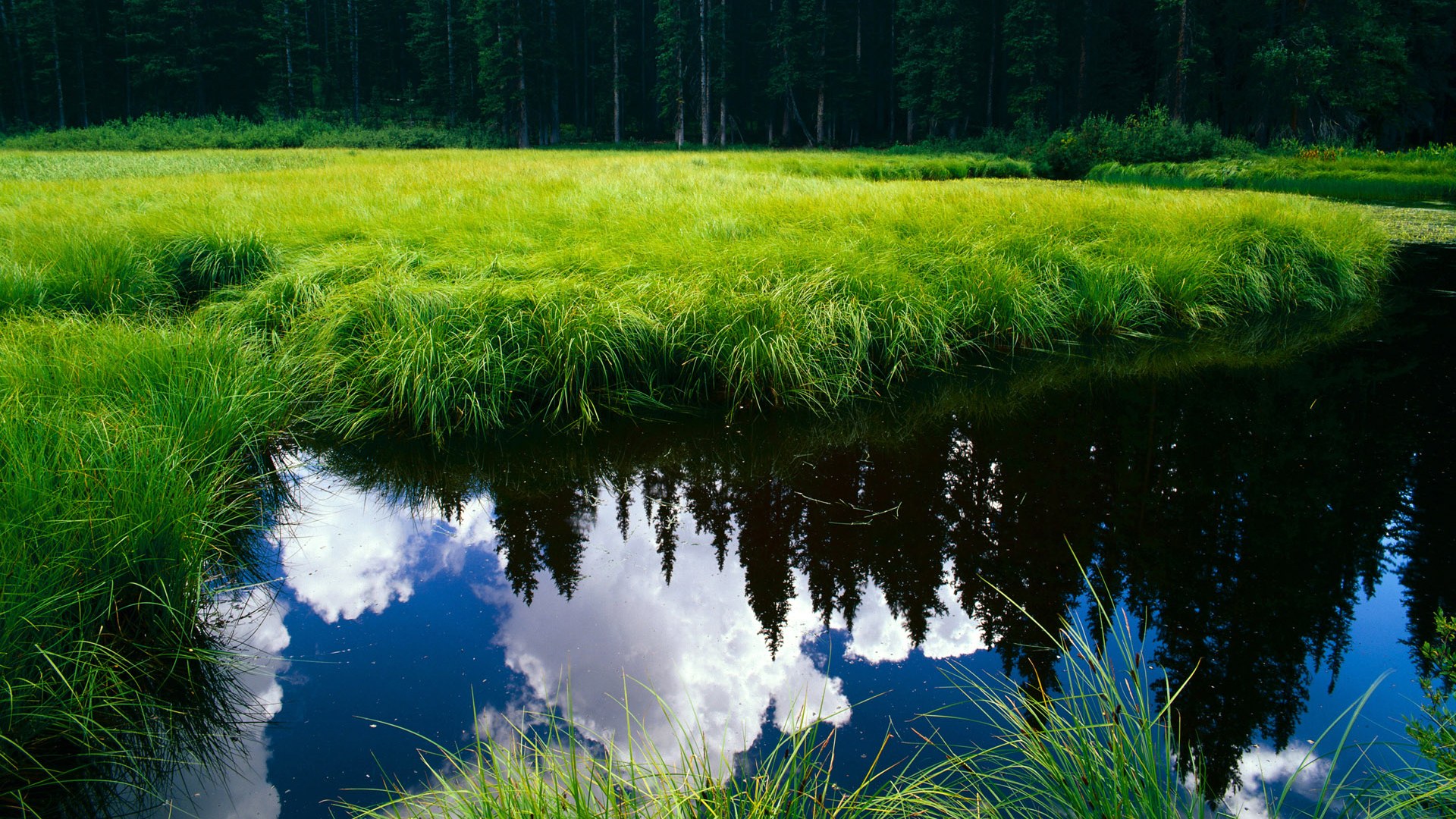 拉齐奥锋线火力全开，拉齐奥巅峰